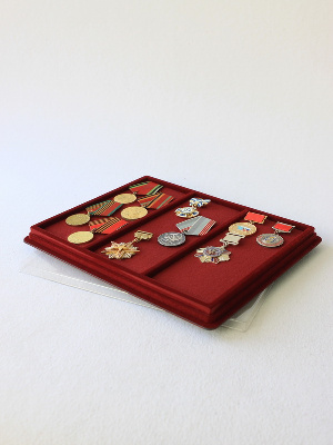 Планшет S (243х304х21 мм) на 3 ячейки (209х85х18 мм) (с поролоновой вставкой) Планшет S (243х304х21 мм) на 3 ячейки (209х85х18 мм) (с поролоновой вставкой)