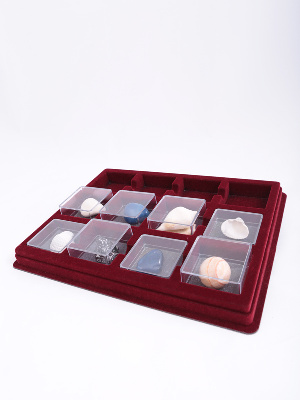 Планшет S (243х304х26 мм) на 12 ячеек для пластиковых капсул 58х58 мм