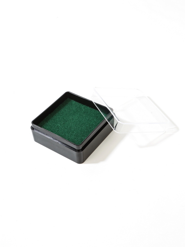 Пластиковый футляр (48х48х22 мм). Чёрное основание, прозрачная крышка, зелёная вставка