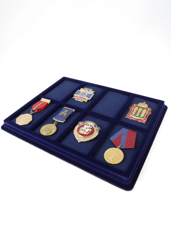 Планшет S (243х304х21 мм) на 8 ячеек (98х60х17 мм) (с поролоновой вставкой)