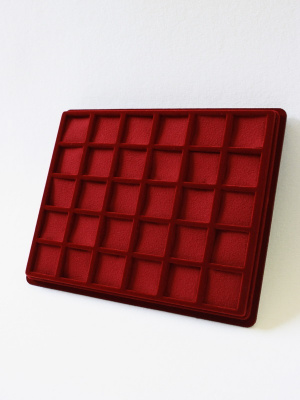 Планшет S (243х304х21 мм) на 30 ячеек (38х38х16 мм) (с поролоновой вставкой) Планшет S (243х304х21 мм) на 30 ячеек (38х38х16 мм) (с поролоновой вставкой)