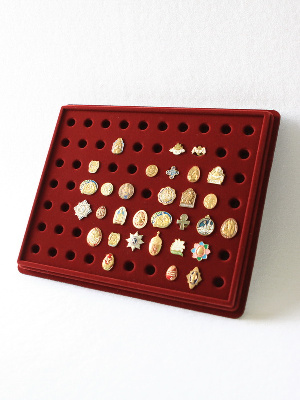 Планшет S (243х304х21 мм) на 70 цанг (под значки с цангой) Планшет S (243х304х21 мм) на 70 цанг (под значки с цангой)