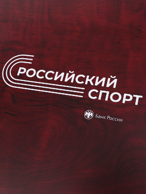 Нанесение изображения для серии монет Российский спорт