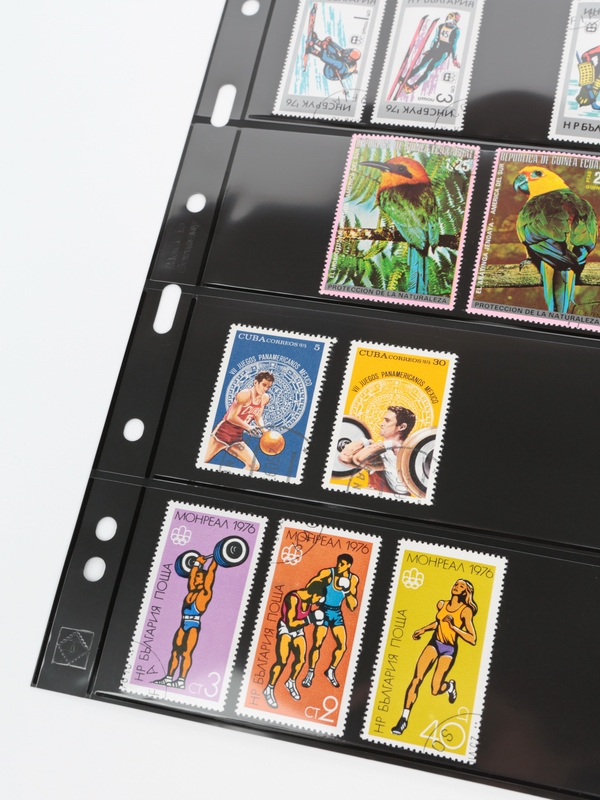 Лист-обложка GRANDE 5S (242х312 мм) двусторонний на 5 ячеек (216х56 мм). Leuchtturm, 312953/1