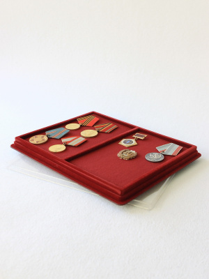 Планшет S (243х304х21 мм) на 2 ячейки (209х131,5х18 мм) (с поролоновой вставкой), тёмно-бордовый Планшет S (243х304х21 мм) на 2 ячейки (209х131,5х18 мм) (с поролоновой вставкой), тёмно-бордовый