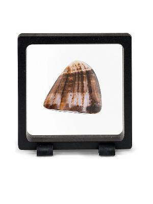 Мембранная рамка Magic Frame 90 (75х75 мм). Leuchtturm, 350476 Мембранная рамка Magic Frame 90 (75х75 мм). Leuchtturm, 350476