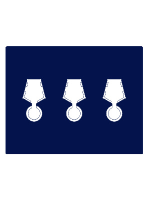 Футляр деревянный Volterra Uno (304х244х31 мм) на 3 медали РФ с пятиугольной колодкой d-32 мм Футляр деревянный Volterra Uno (304х244х31 мм) на 3 медали РФ с пятиугольной колодкой d-32 мм