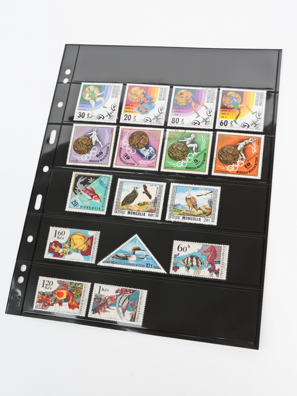 Лист-обложка GRANDE 6S (242х312 мм) двусторонний на 6 ячеек (216х46 мм). Leuchtturm, 331156/1