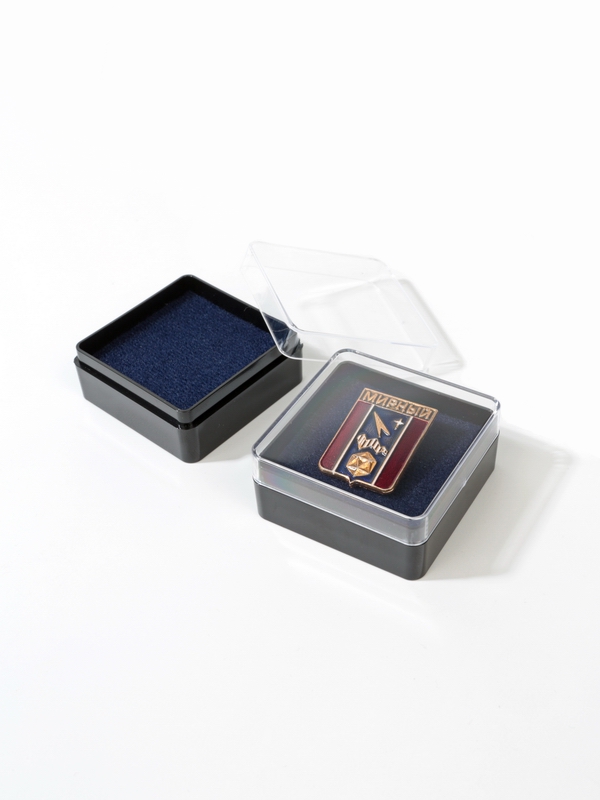 Пластиковый футляр (48х48х22 мм). Чёрное основание, прозрачная крышка, синяя вставка