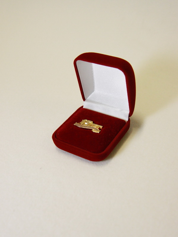 Футляр (55х60х36 мм) под значок