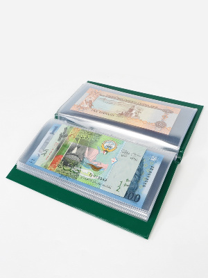 Карманный альбом для 20 банкнот (168х74 мм). Зелёный. СомС, Россия