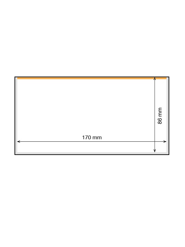 Защитный лист-обложка BASIC 170 для банкнот (170х86 мм). Упаковка 10 шт. Leuchtturm, 341221/10