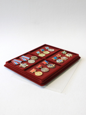 Планшет S (243х304х21 мм) на 4 ячейки (101х131,5х18 мм) (с поролоновой вставкой) Планшет S (243х304х21 мм) на 4 ячейки (101х131,5х18 мм) (с поролоновой вставкой)