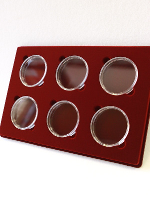 Планшет L (222х333х13 мм) для монет в капсулах d-74 мм (6 ячеек)