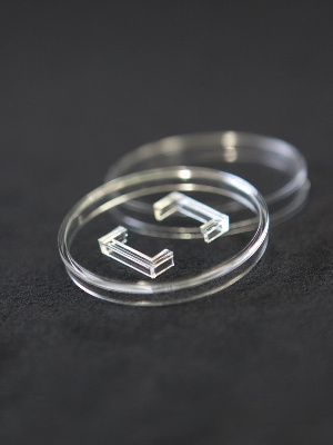 Капсула с системой антивскрытия для монеты-слитка 20х14х2 мм Капсула с системой антивскрытия для монеты-слитка 20х14х2 мм