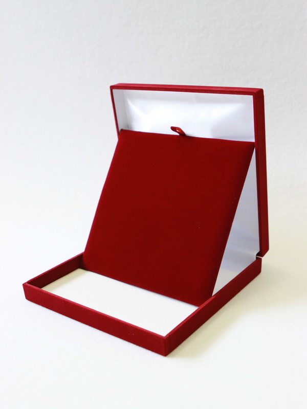 Футляр (160х160х33 мм) с универсальным ложементом Футляр (160х160х33 мм) с универсальным ложементом