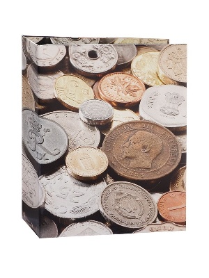 Альбом для монет OPTIMA COINS с 5 листами. Leuchtturm, 340920