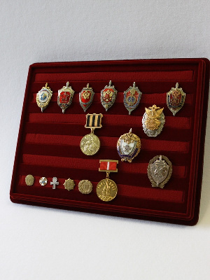 Планшет S (243х304х21 мм) с шестью поролоновыми полосками Планшет S (243х304х21 мм) с шестью поролоновыми полосками