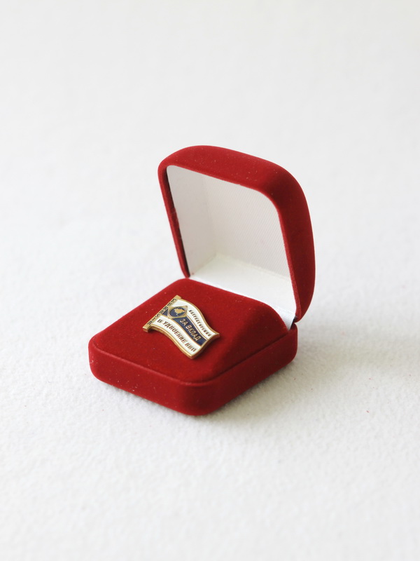 Футляр (53х59х33 мм) под значок на цанге, светло-бордовый  Футляр (53х59х33 мм) под значок на цанге, светло-бордовый