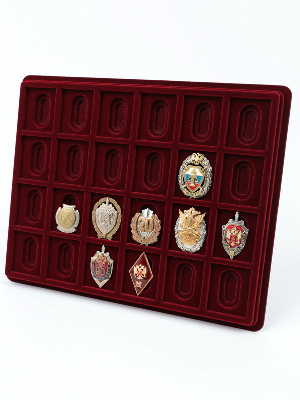 Планшет S (243х304х21 мм) на 24 ячейки (49х40х6 мм) (под знаки с винтом)