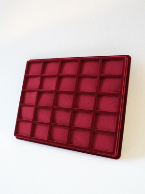 Планшет S (243х304х21 мм) на 25 ячеек (37х50х16 мм) (с поролоновой вставкой) Планшет S (243х304х21 мм) на 25 ячеек (37х50х16 мм) (с поролоновой вставкой)