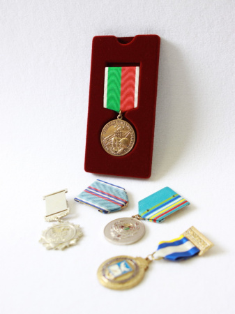 Вставка «Моя коллекция Standart» под медаль с колодкой. Вид 1