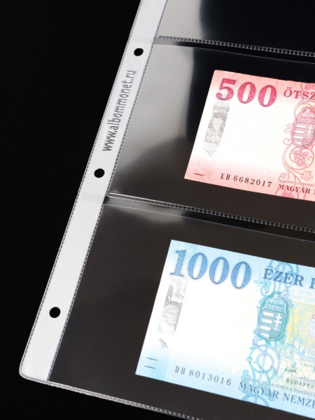 Лист-обложка ГРАНДЕ (Россия) (250х311 мм) из прозрачного пластика на 3 ячейки (225х93 мм). Professional. Albommonet, ЛБГ3