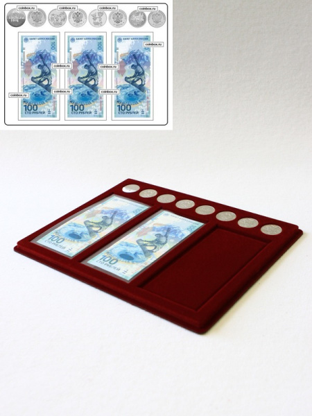 Планшет S (234х296х12 мм) для 3 банкнот Сочи-2014 в чехлах и 8 монет Сочи-2014 без капсул, тёмно-бордовый  Планшет S (234х296х12 мм) для 3 банкнот Сочи-2014 в чехлах и 8 монет Сочи-2014 без капсул, тёмно-бордовый