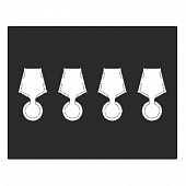 Футляр Presidio из искусственной кожи (301х245х34 мм) на 4 медали РФ с пятиугольной колодкой d-32 мм