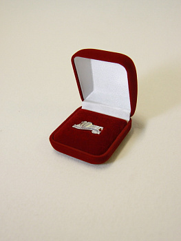 Футляр (55х60х36 мм) под значок