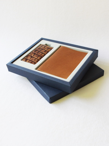 Флокированный ложемент на 2 предмета