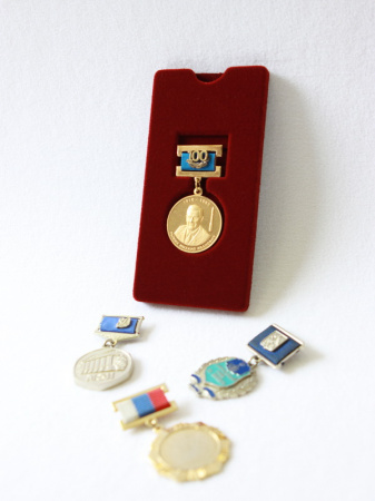 Вставка «Моя коллекция Standart» универсальная под медаль с колодкой. Вид 3
