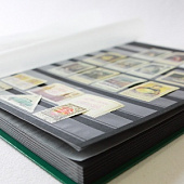 Альбом для марок (кляссер BASIC). A4. 16 листов (32 страницы) из чёрного картона с промежуточными листами из пергамина. Зелёный. Leuchtturm, 327381