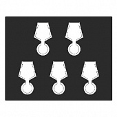 Футляр Presidio из искусственной кожи (301х245х34 мм) на 5 медалей РФ с пятиугольной колодкой d-32 мм
