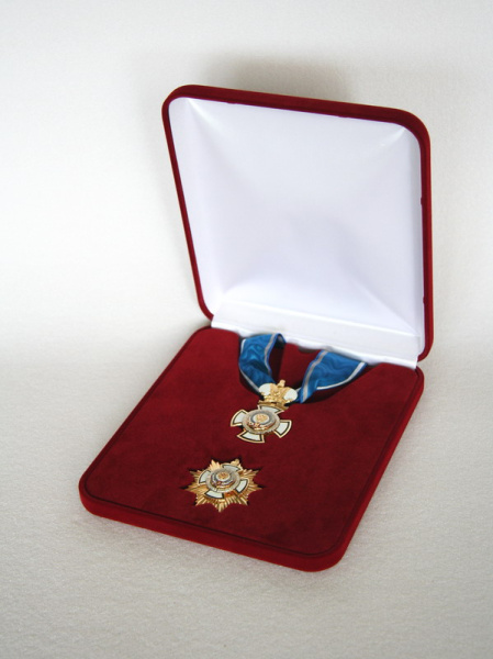 Футляр флокированный (191х221х44 мм) под орден и орден на ленте