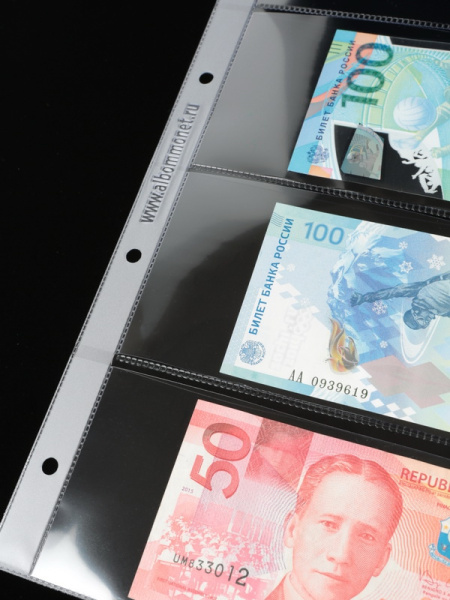 Лист-обложка ГРАНДЕ (Россия) (250х311 мм) из прозрачного пластика на 4 ячейки (225х67 мм). Professional. Albommonet, ЛБГ4