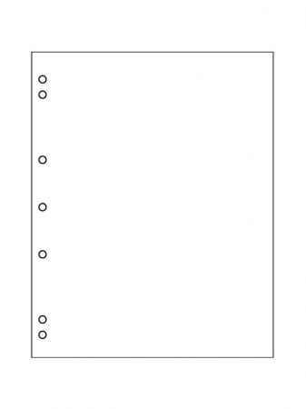 Прокладочные листы из картона формата NUMIS (187х224 мм). Упаковка из 10 листов. Leuchtturm, 336293