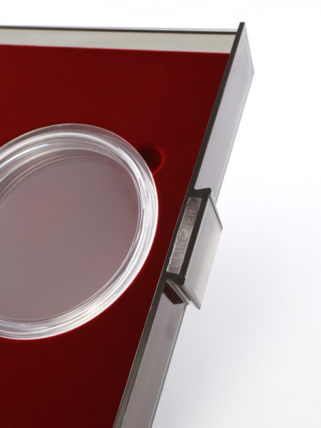  Кассета XXL для монеты 25000 руб (золото 999, 3 кг ) в капсуле, светло-бордовый