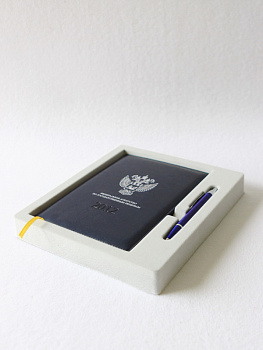 Флокированный ложемент под ежедневник и ручку. Вид 2