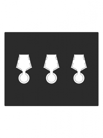 Футляр Presidio из искусственной кожи (301х245х34 мм) на 3 медали РФ с пятиугольной колодкой d-32 мм