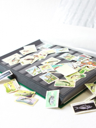 Альбом для марок (кляссер BASIC). A4. 30 листов (60 страниц) из чёрного картона с промежуточными листами из пергамина. Зелёный. Leuchtturm, 341747 / 317806