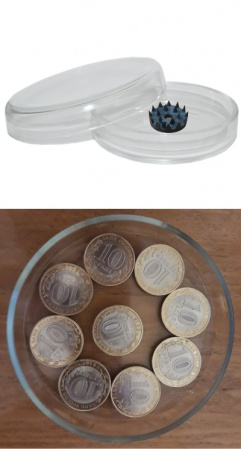 Комплект из двух чашек Петри (101 и 95 мм), пластик