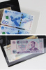 Листы-дисплеи без отверстий 6C (217х278 мм) из прозрачного пластика на 6 ячеек (210х38 мм). Упаковка из 10 листов. PCCB MINGT, 810577 Листы-дисплеи без отверстий 6C (217х278 мм) из прозрачного пластика на 6 ячеек (210х38 мм). Упаковка из 10 листов. PCCB MINGT, 810577