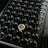 Листы-обложки Гранде из прозрачного пластика для монет в капсулах CAPS 22-23 мм Leuchtturm. Диаметр ячейки 29 мм. Упаковка из 2 листов, Россия
