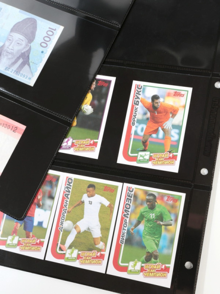 Лист-обложка ГРАНДЕ (Россия) (250х311 мм) с чёрной основой на 3 ячейки (225х93 мм). Двусторонний. Albommonet, ЛБЧ3