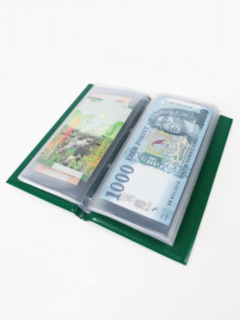 Карманный альбом для 20 банкнот (168х74 мм). Зелёный. СомС, Россия
