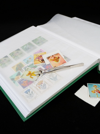 Альбом для марок (кляссер BASIC). A4. 32 листа (64 страницы) из белого картона с промежуточными листами из пергамина. Зелёный. Leuchtturm, 317477