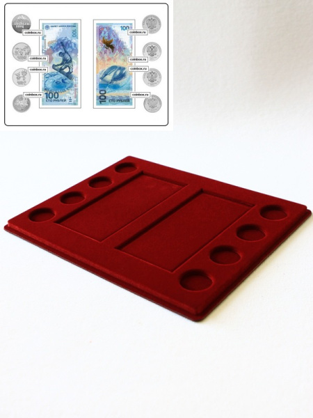 Планшет S (234х296х12 мм) для 2 банкнот Сочи-2014 в чехлах и 8 монет Сочи-2014 в капсулах Leuchtturm (Капсулы в столбик. Диаметр 33 мм), тёмно-бордовый  Планшет S (234х296х12 мм) для 2 банкнот Сочи-2014 в чехлах и 8 монет Сочи-2014 в капсулах Leuchtturm (Капсулы в столбик. Диаметр 33 мм), тёмно-бордовый