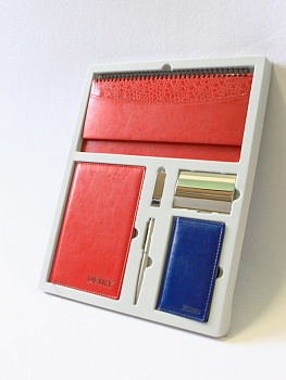 Флокированный ложемент для бизнес набора из 6 предметов