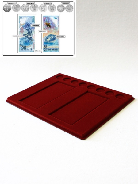 Планшет S (234х296х12 мм) для 2 банкнот Сочи-2014 в чехлах и 8 монет Сочи-2014 без капсул, тёмно-бордовый  Планшет S (234х296х12 мм) для 2 банкнот Сочи-2014 в чехлах и 8 монет Сочи-2014 без капсул, тёмно-бордовый